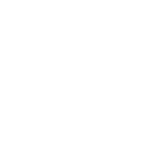 Auto Insurance