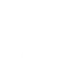 Life Insurance