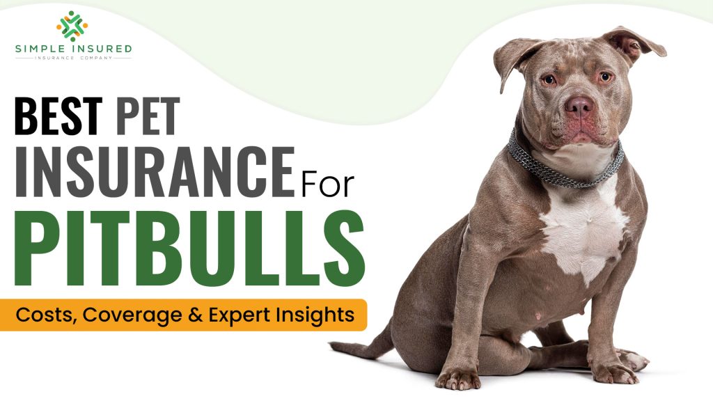 know which is the best pet insurance for pitbull