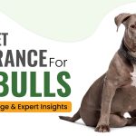 know which is the best pet insurance for pitbull