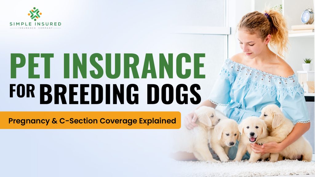 pet insurance for breeding dogs