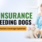 pet insurance for breeding dogs