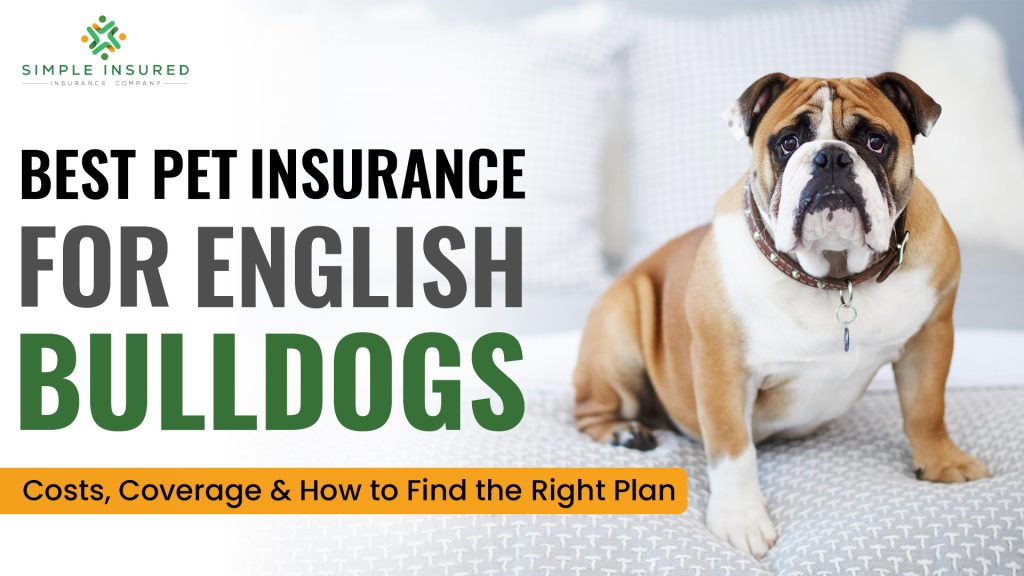 Know the Pet Insurance for English Bulldogs