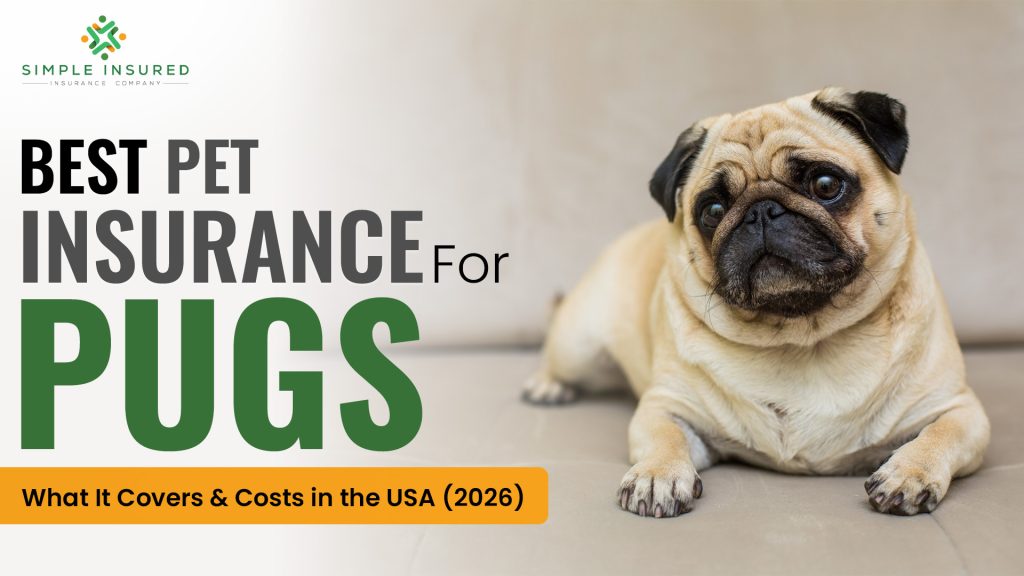 Pet Insurance for Pugs